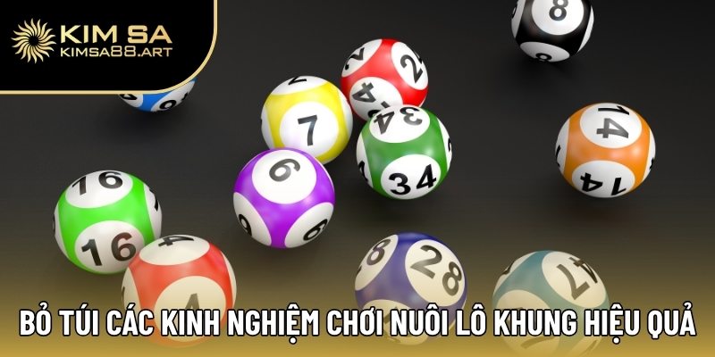 Hướng Dẫn Nuôi Lô Khung Hiệu Quả Cho Người Mới Bắt Đầu 3 Bỏ túi các kinh nghiệm chơi nuôi lô khung hiệu quả
